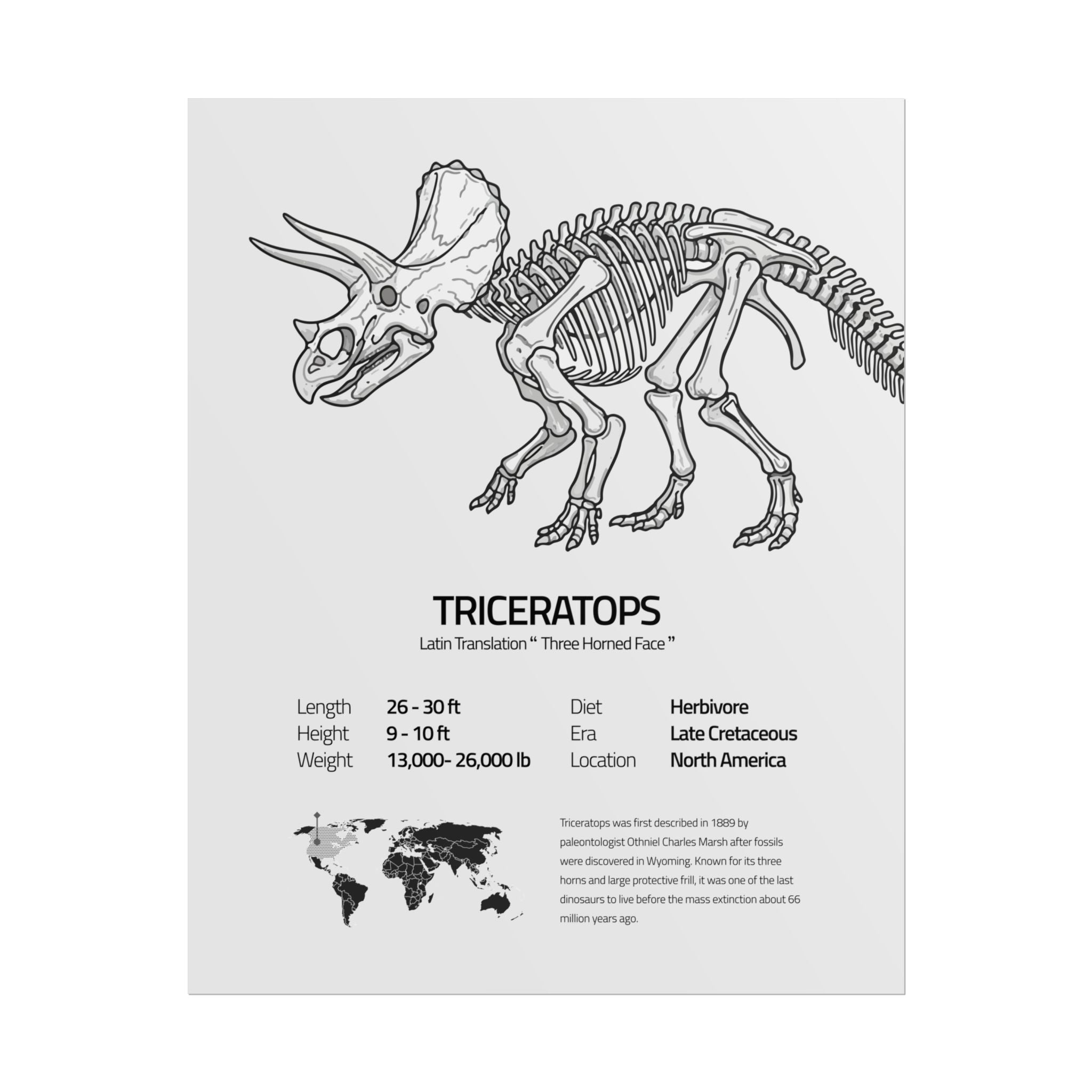 The Triceratops