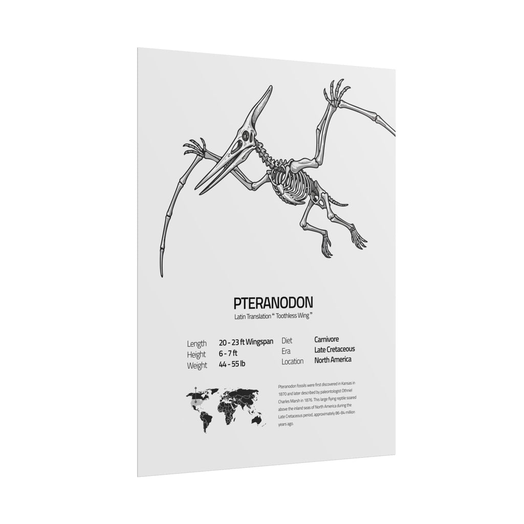 The Pteranodon