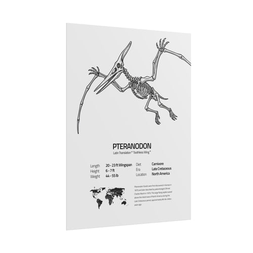 The Pteranodon