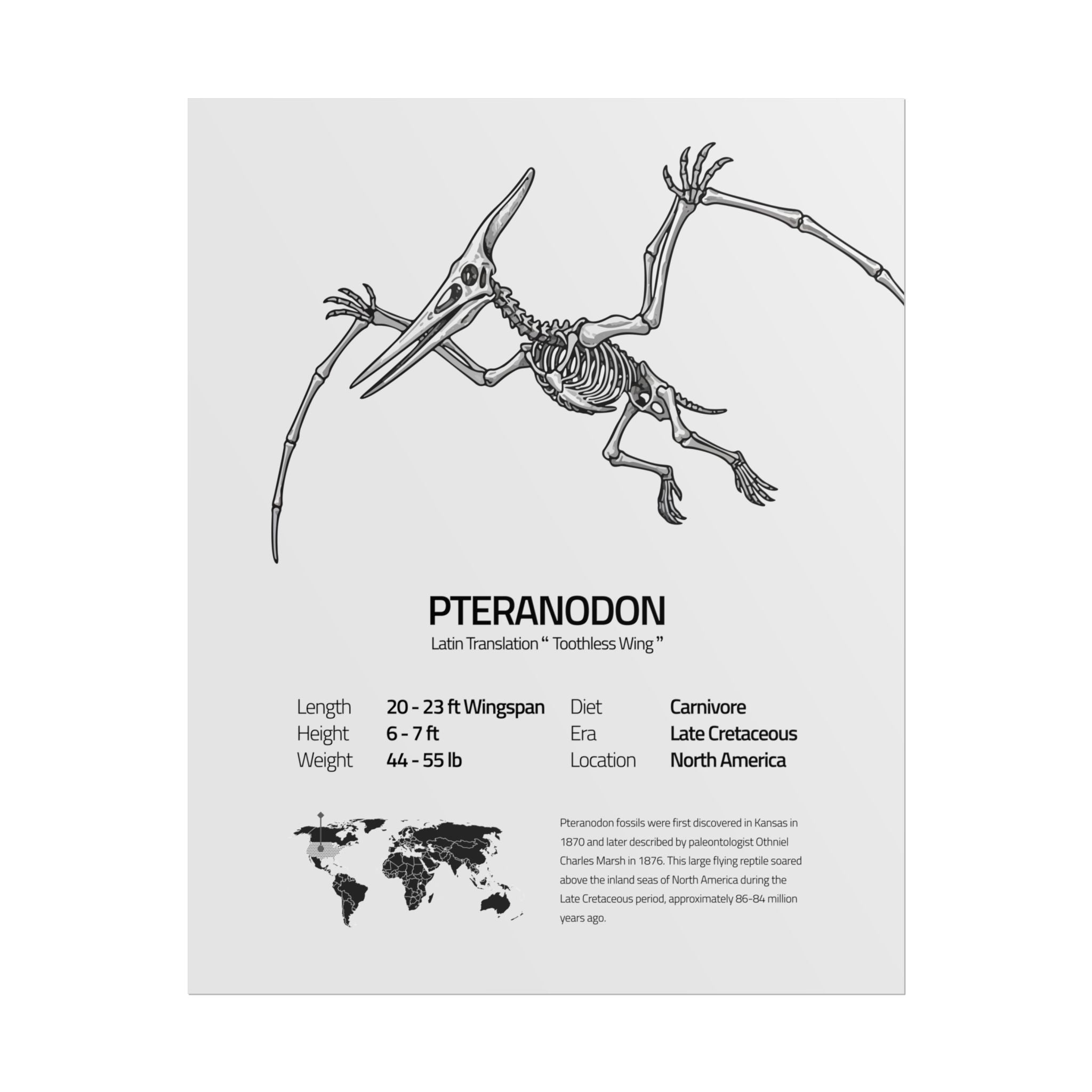The Pteranodon