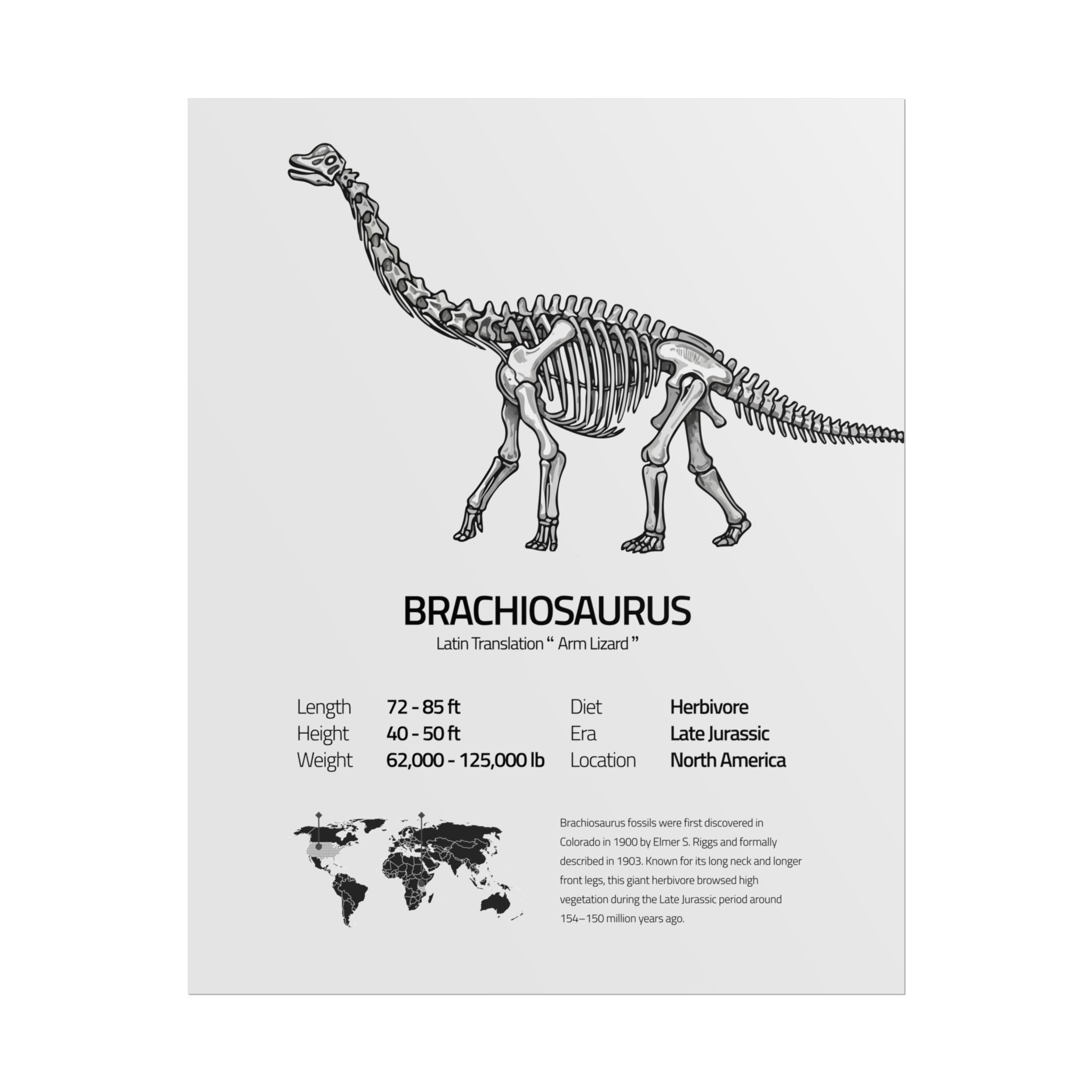 The Brachiosaurus