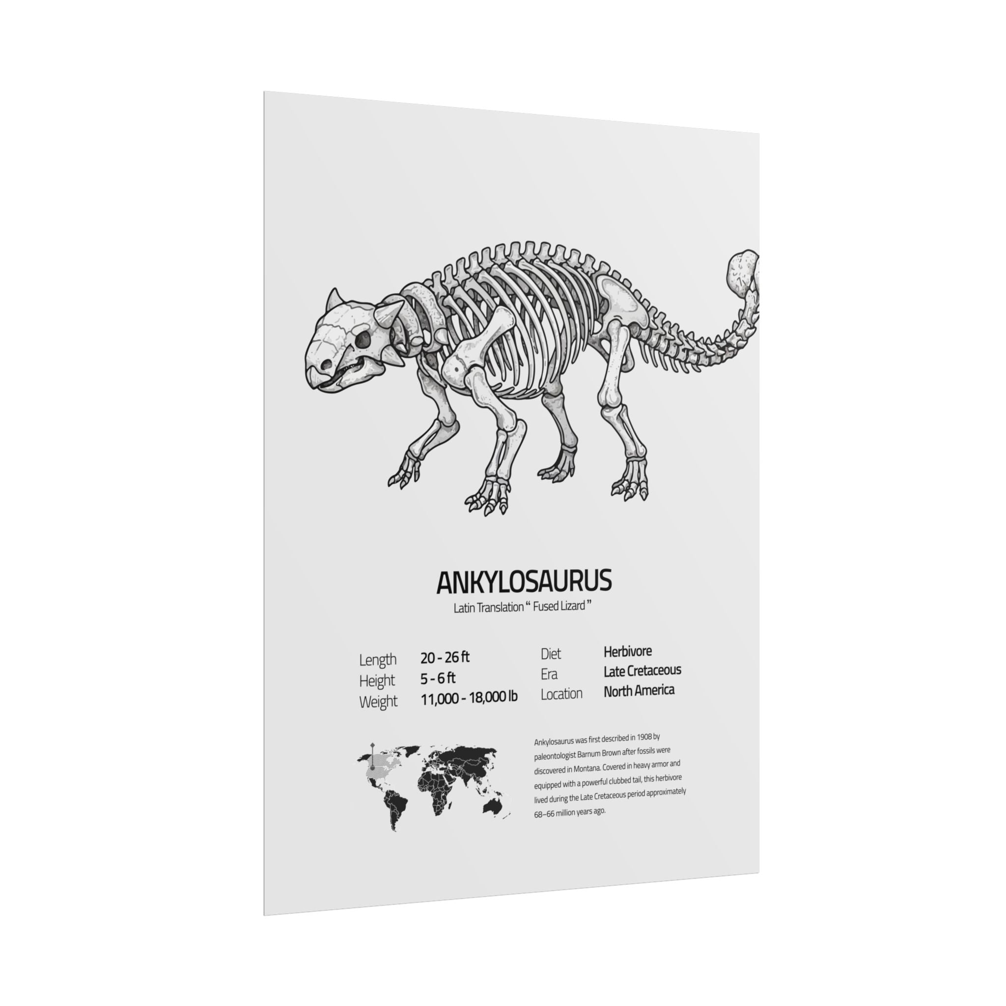 The Ankylosaurus