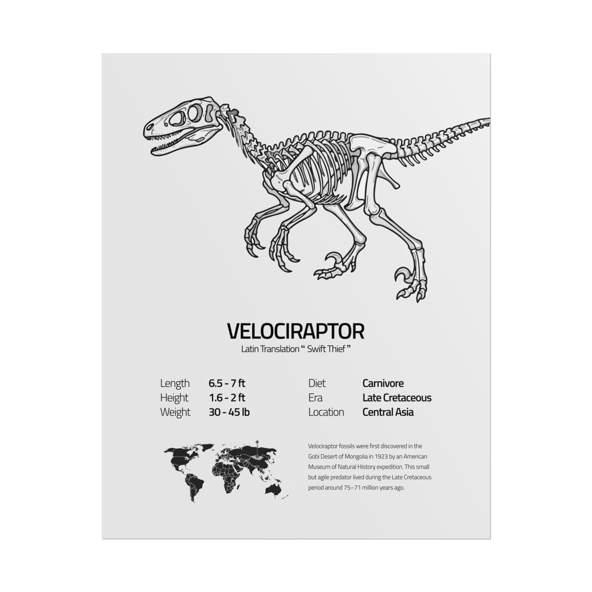 The Velociraptor