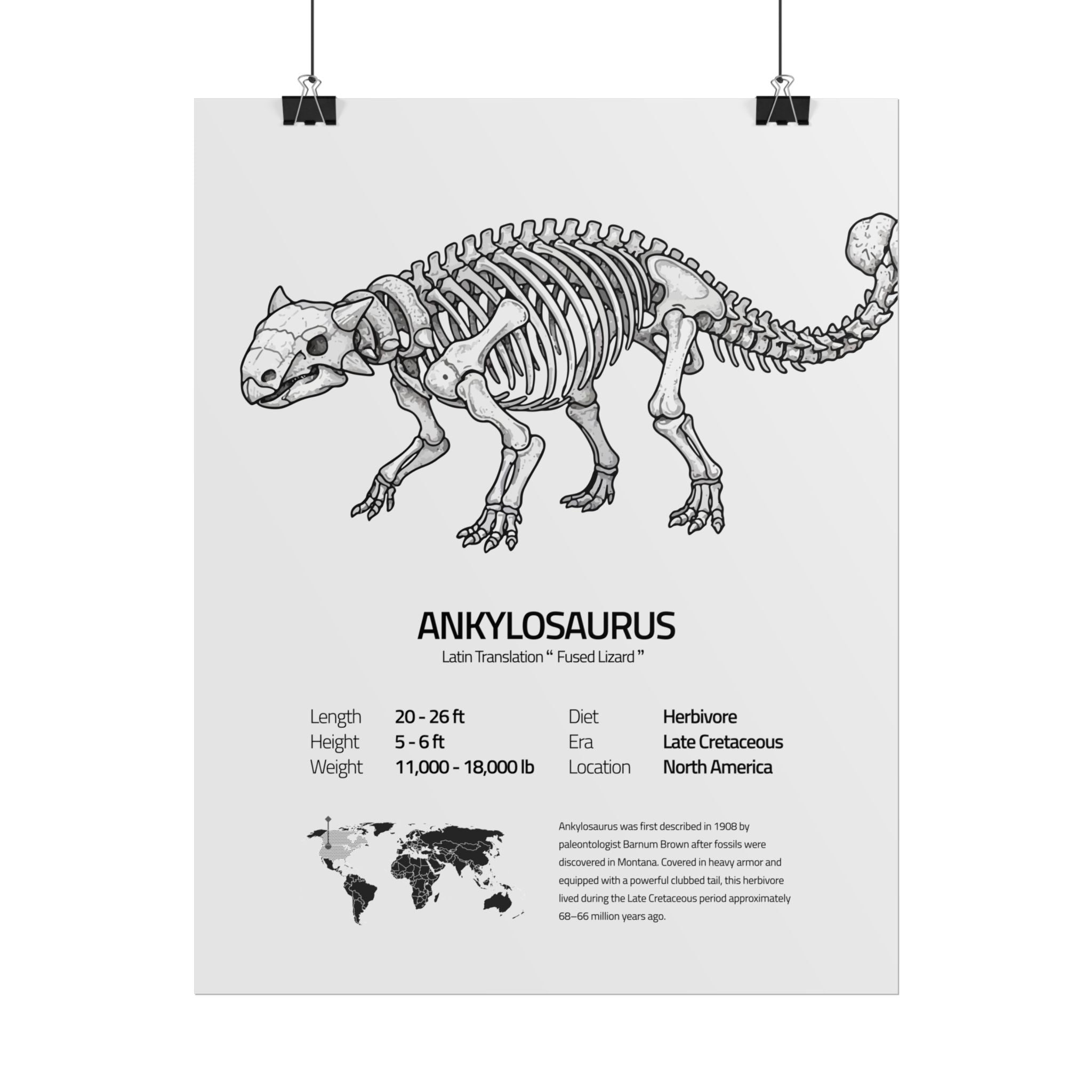 The Ankylosaurus
