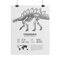 The Stegosaurus
