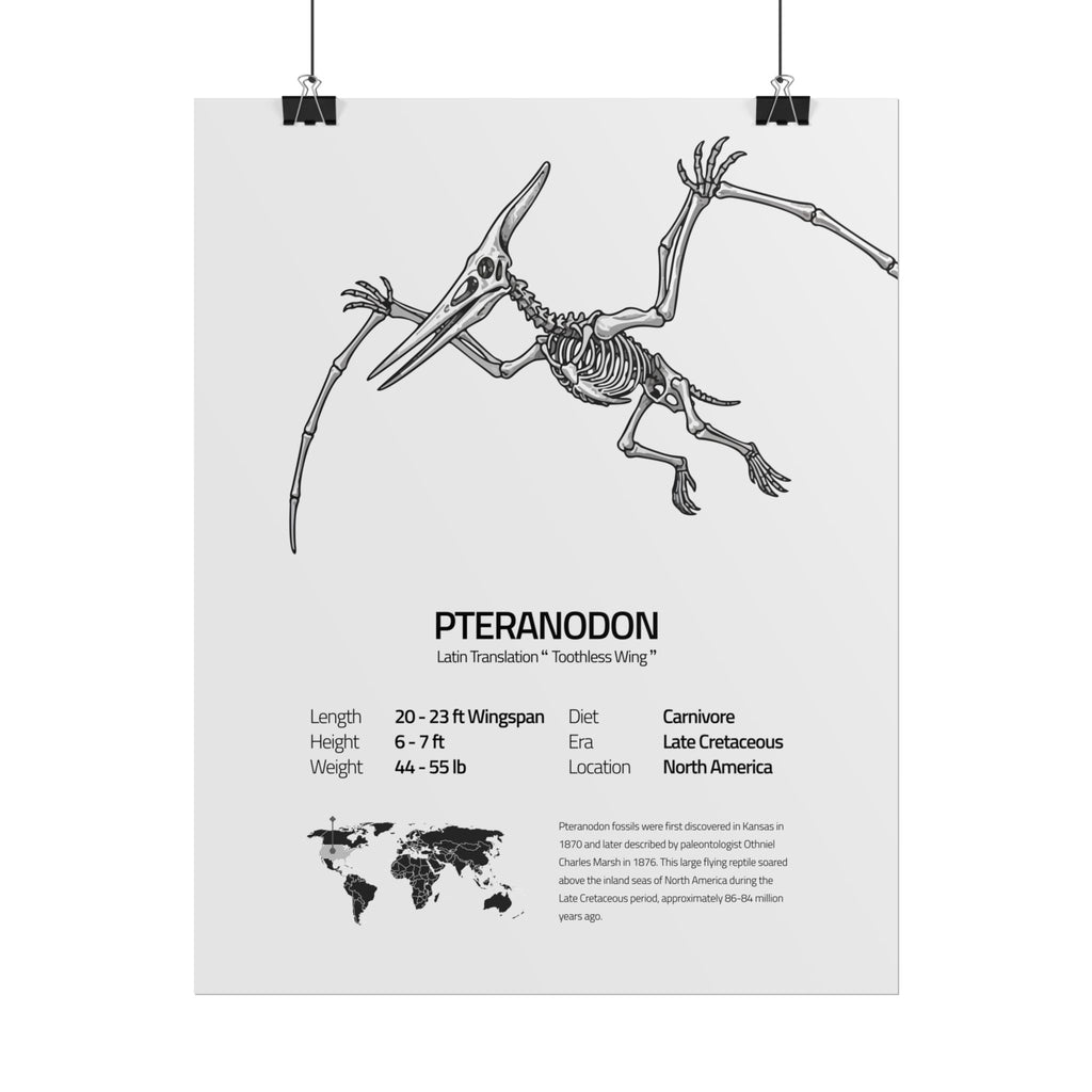 The Pteranodon