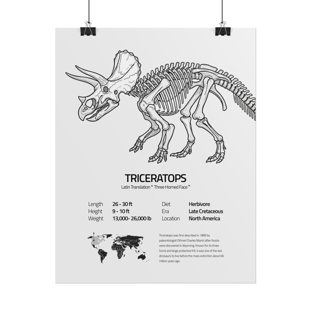 The Triceratops