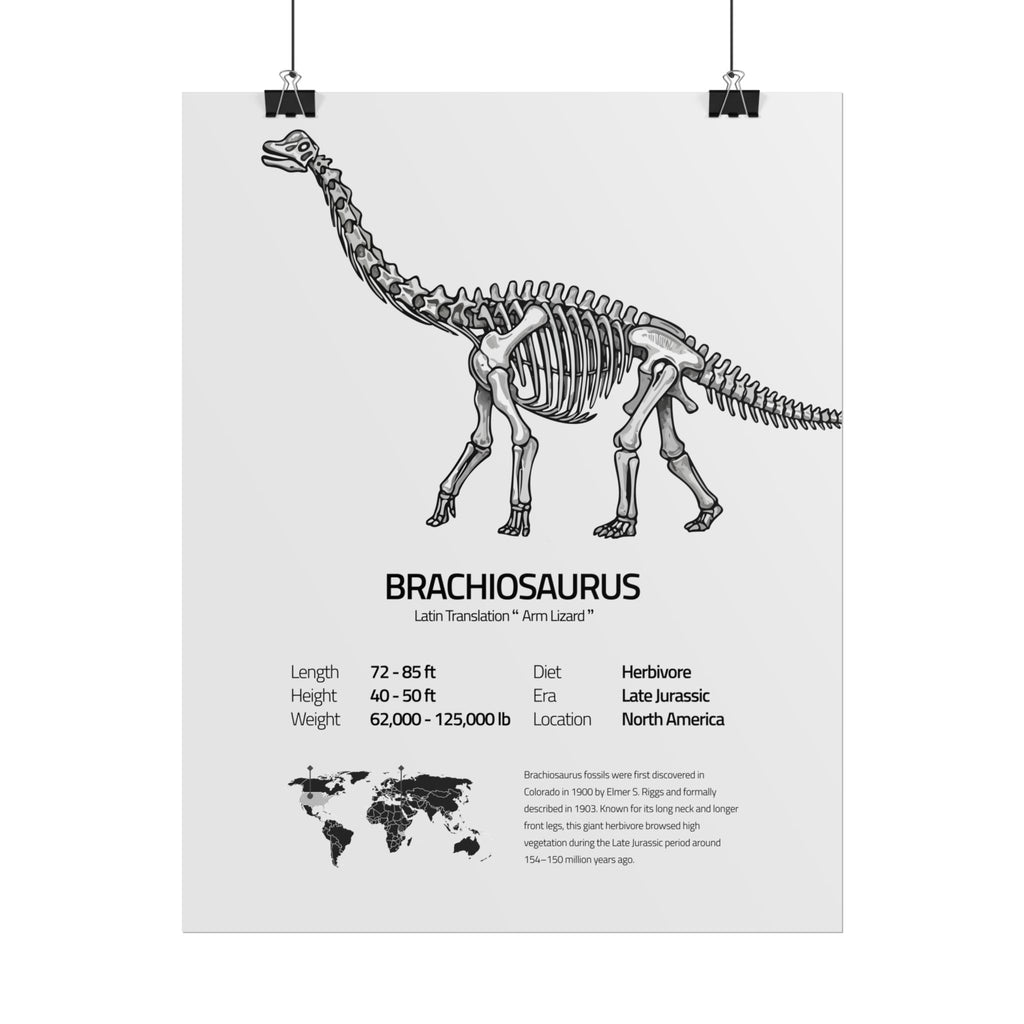 The Brachiosaurus