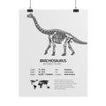 The Brachiosaurus