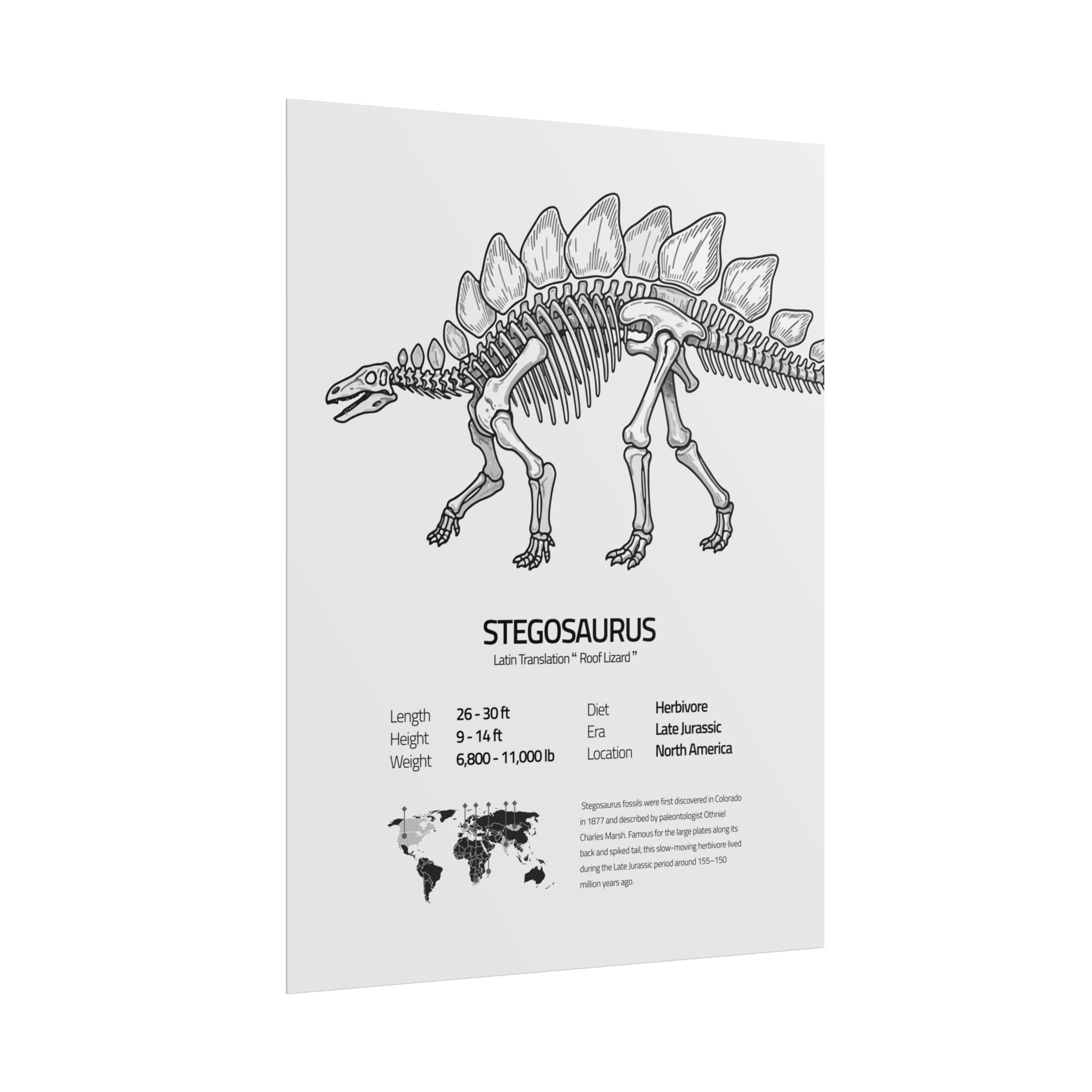The Stegosaurus
