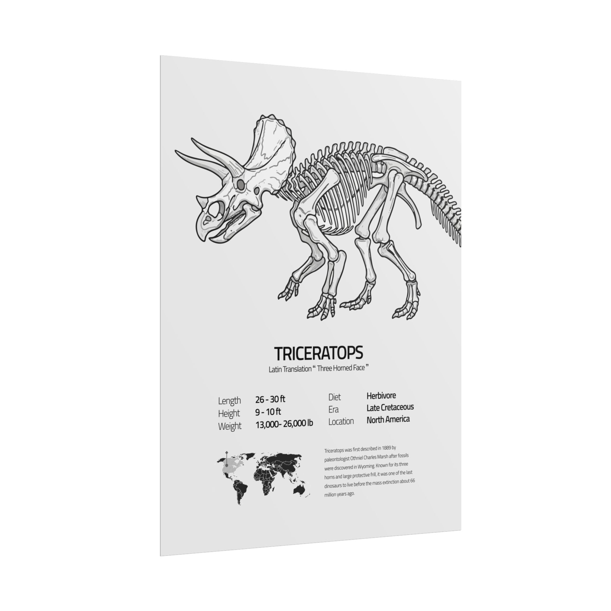 The Triceratops